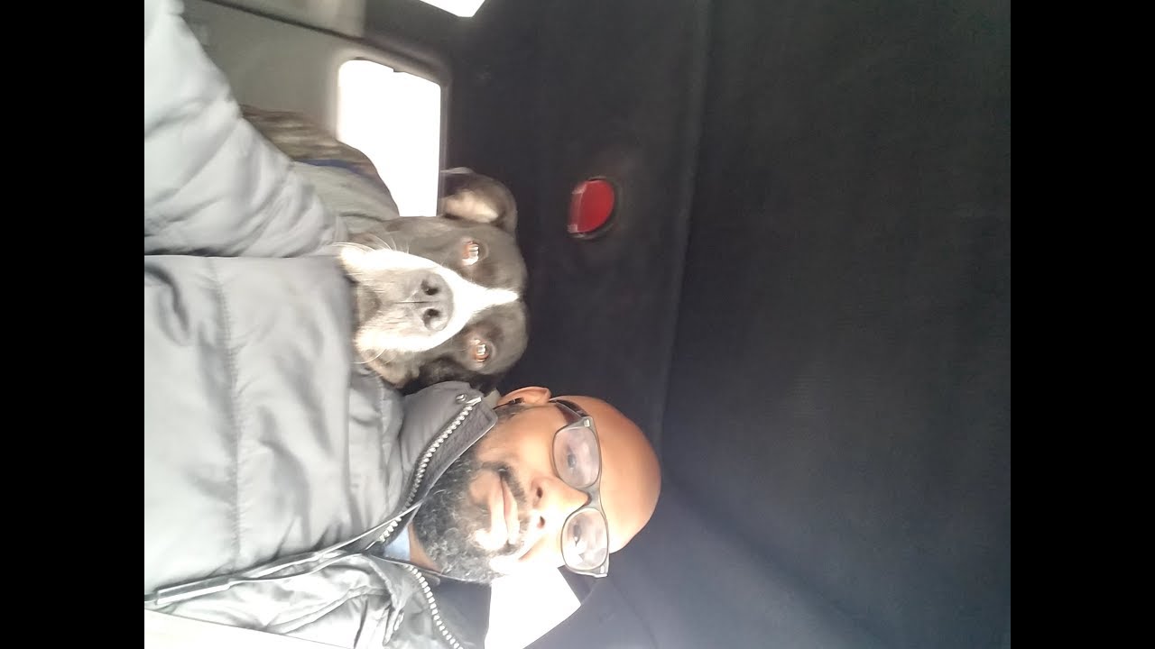 Predictive programming: From Pets to Blacks…