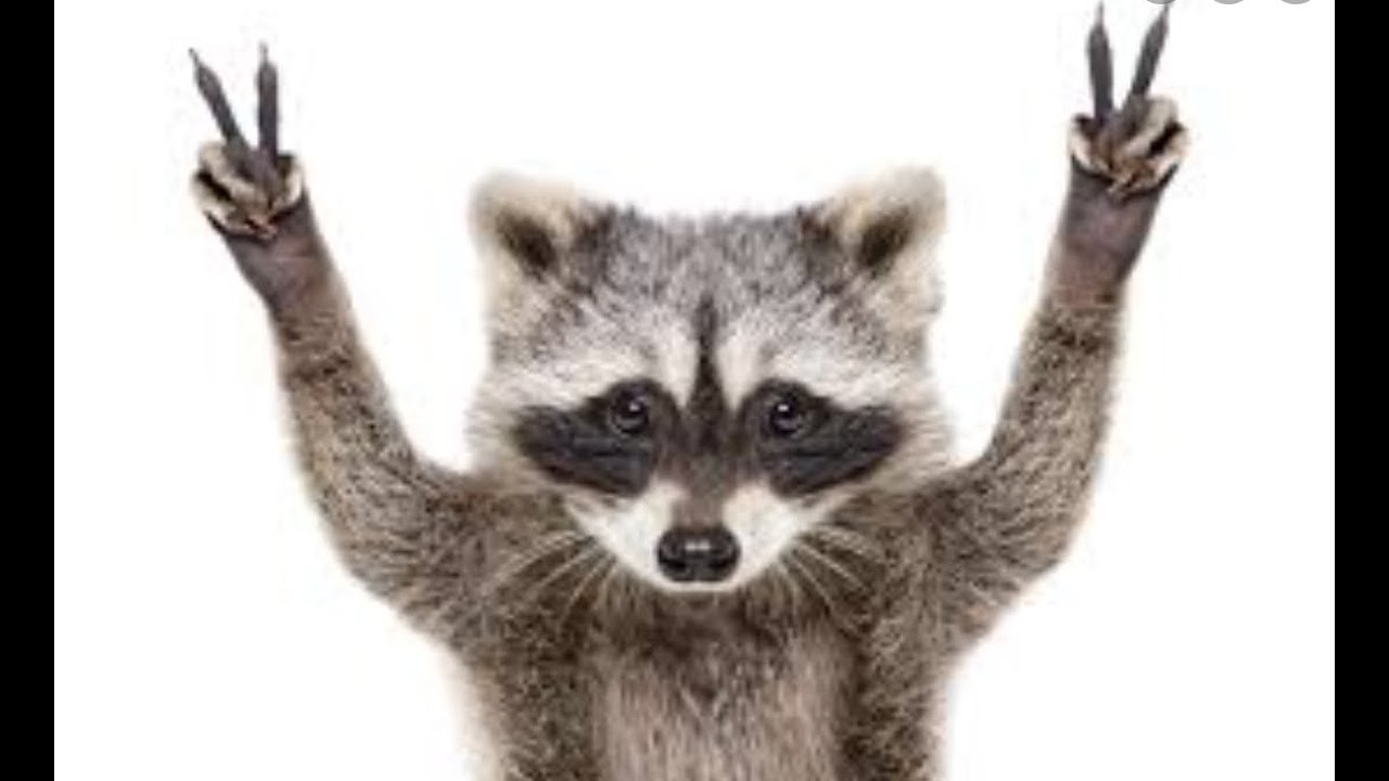 How to spot a C double O to the N.