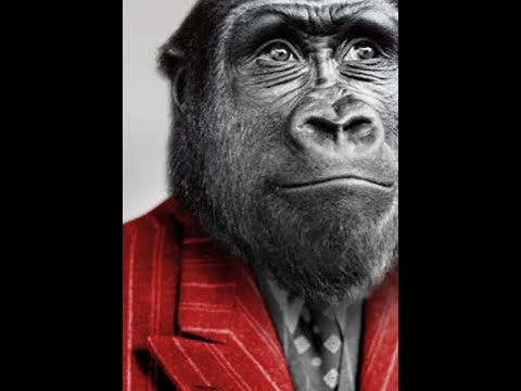 Always Mr. Nice guy…..