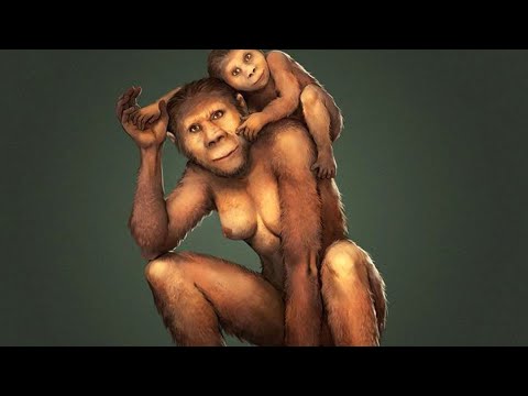 The ABW is no longer genetically viable…..