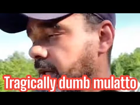 Tragically dumb Mulatto 😂 @Angry Biracial