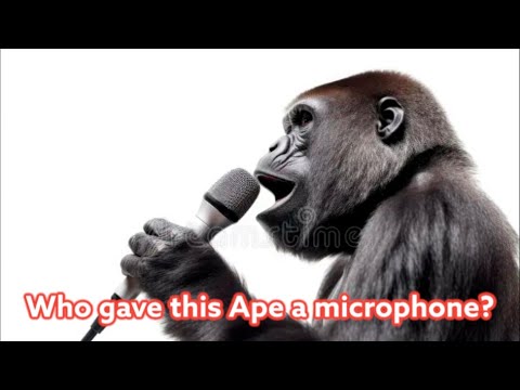 I’m not from Africa, I’m from 83rd street Bitch! @Oshay Duke Jackson