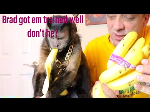 This is why brothers aren’t listening anymore….. @KingKongConsciousness