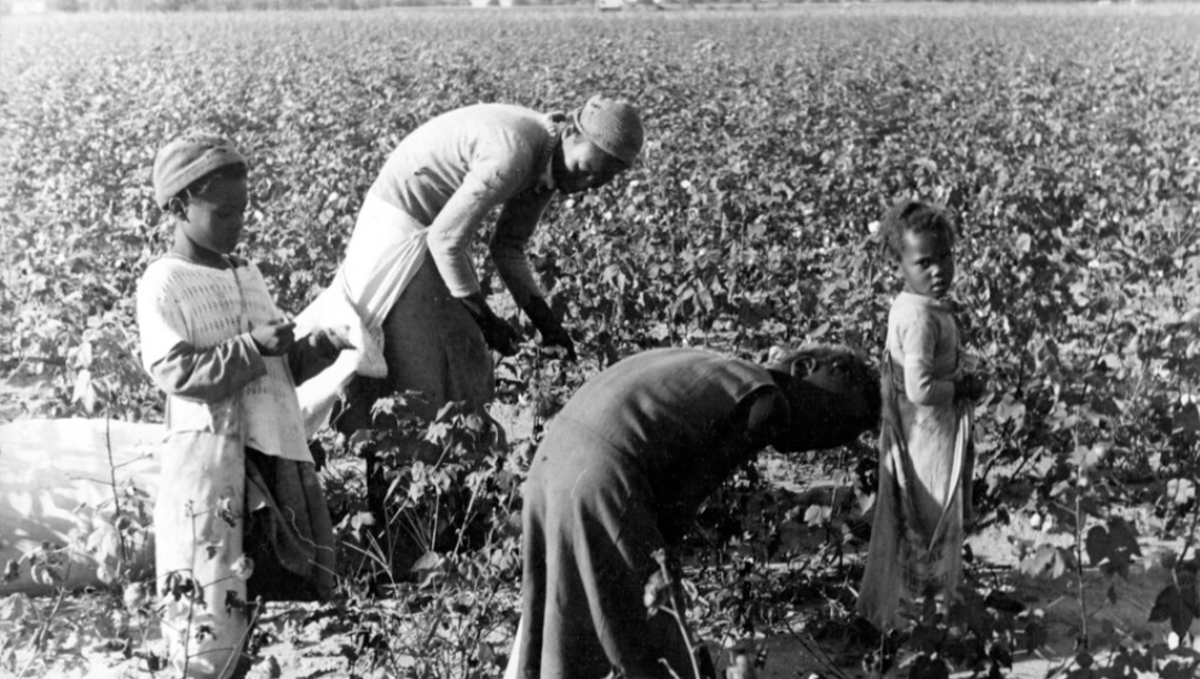 The servile nature of Black females pt2 (2015)