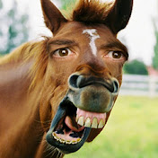 Manosphere Classics: Horsey MGTOW (Multivideo Post!)