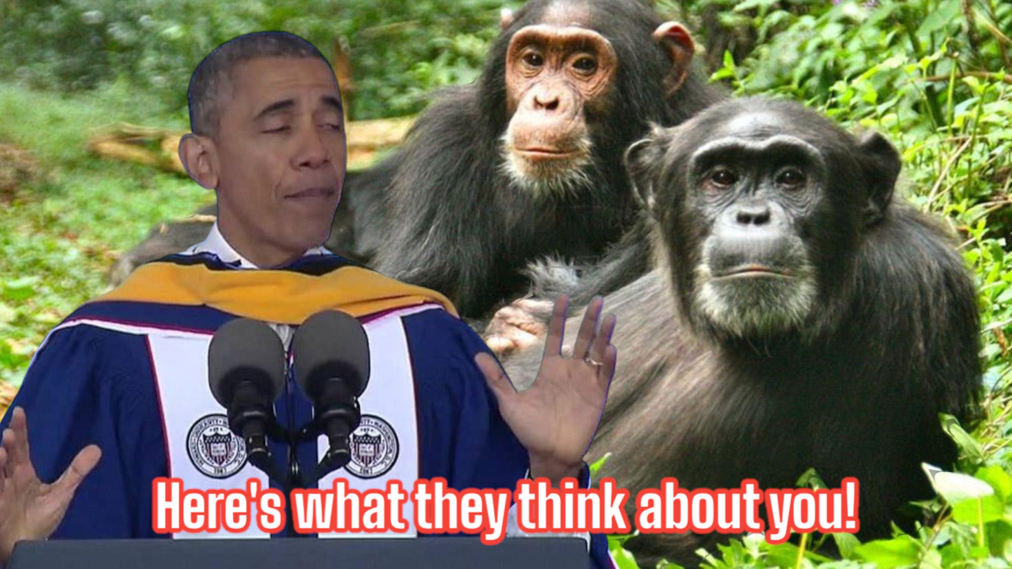 Obama told you niggas exactly what it is years ago but you didn’t listen..